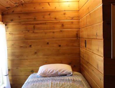 Upstairs Room 2: 2 Twins